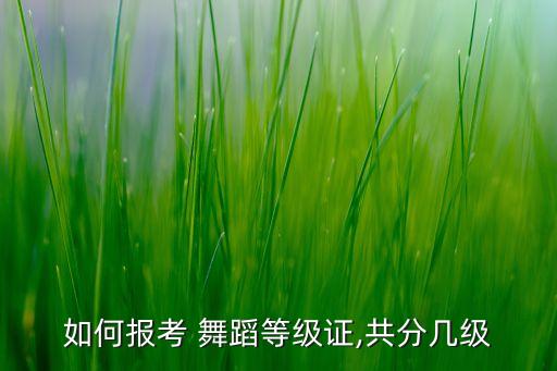 如何报考 舞蹈等级证,共分几级