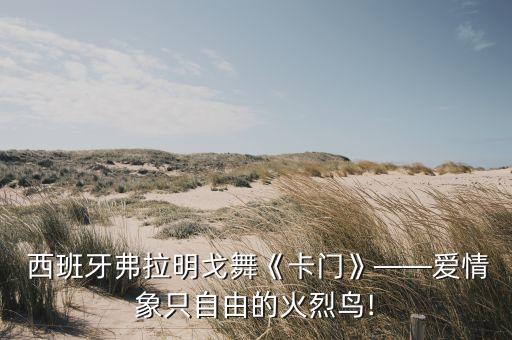 西班牙斗牛曲舞蹈视频