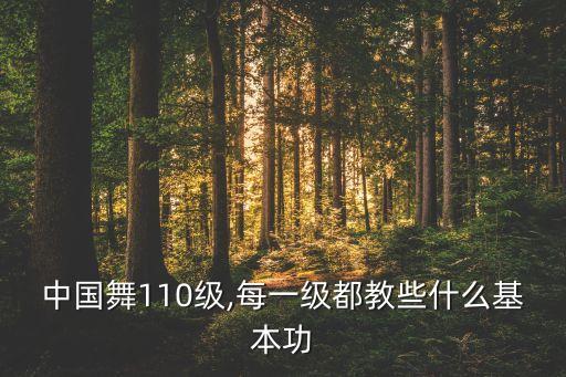 中国舞110级,每一级都教些什么基本功
