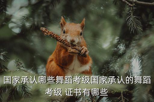国家承认哪些舞蹈考级国家承认的舞蹈考级 证书有哪些