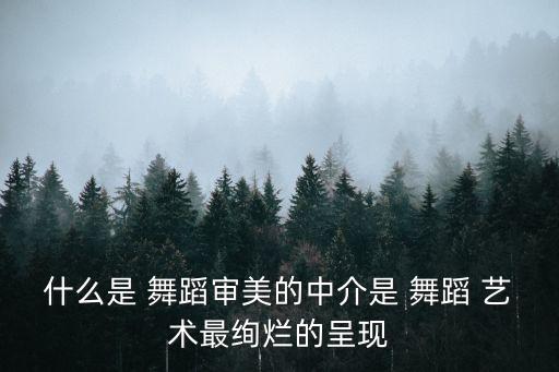 舞蹈艺术图,舞蹈画你