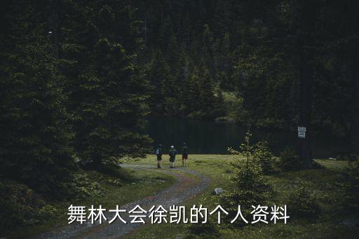 舞林大会徐凯的个人资料