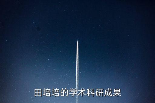 田培培的学术科研成果