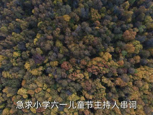 急求小学六一儿童节主持人串词