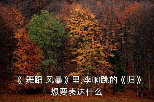 舞蹈风暴古典舞见自己,湖南卫视舞蹈风暴古典舞