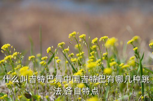 阳光路上舞蹈中三交谊舞,交谊舞串烧阳光路上我们的生活充满阳光