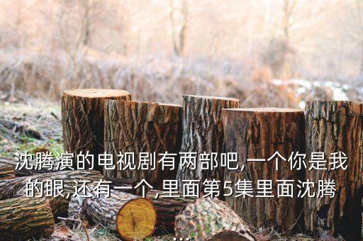 沈腾演的电视剧有两部吧,一个你是我的眼,还有一个,里面第5集里面沈腾...