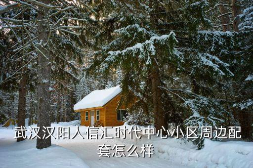 武汉汉阳人信汇时代中心小区周边配套怎么样