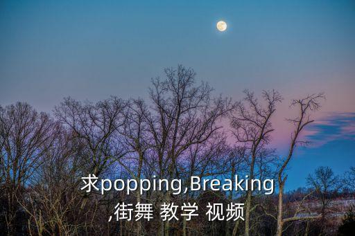 求popping,Breaking,街舞 教学 视频