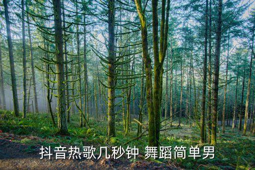 不放弃舞蹈慢动作教学视频,手语不放弃教学版慢动作