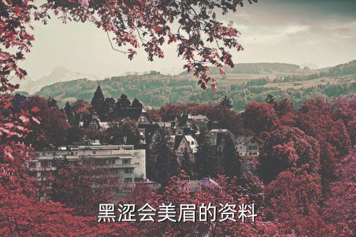 黑涩会美眉的资料