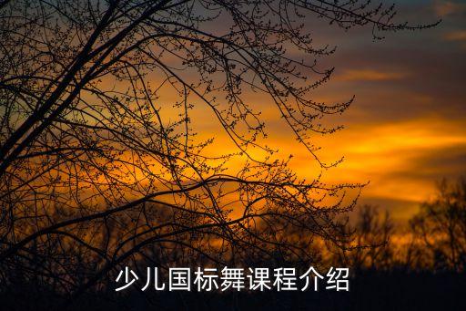舞蹈辅导简介,舞蹈研究生辅导机构