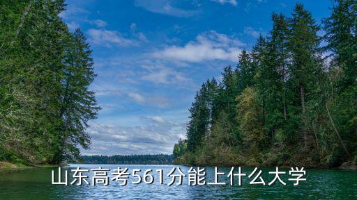 山东高考561分能上什么大学