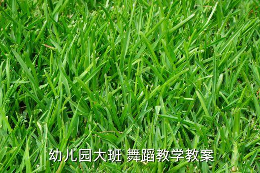  幼儿园大班 舞蹈教学教案