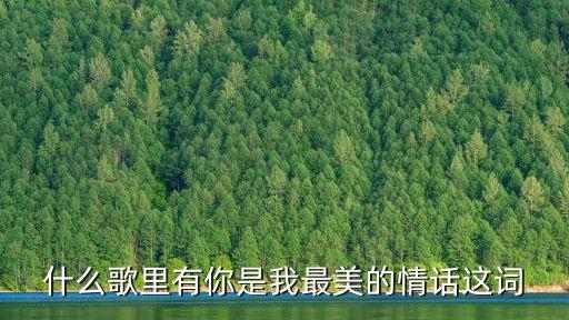 什么歌里有你是我最美的情话这词