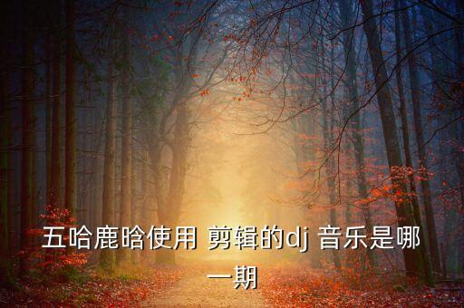 五哈鹿晗使用 剪辑的dj 音乐是哪一期