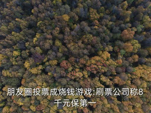 朋友圈投票成烧钱游戏:刷票公司称8千元保第一
