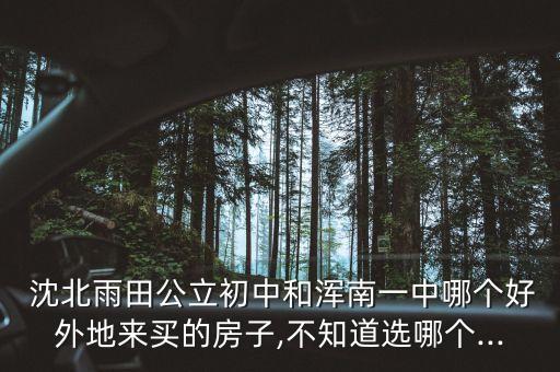  沈北雨田公立初中和浑南一中哪个好外地来买的房子,不知道选哪个...
