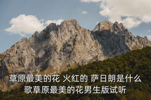 火红萨日朗蒙古族舞蹈视频,火红的萨日朗是蒙古族歌曲吗