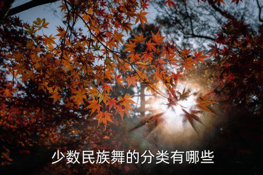  少数民族舞的分类有哪些