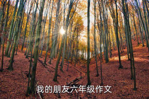 我的朋友六年级作文