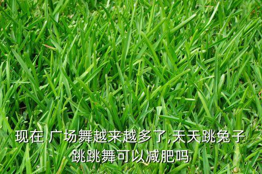 现在 广场舞越来越多了,天天跳兔子跳跳舞可以减肥吗