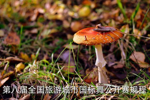 第八届全国旅游城市国标舞公开赛规程