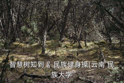 民族舞蹈独舞广场舞,广场舞山路十八弯民族舞蹈视频教学