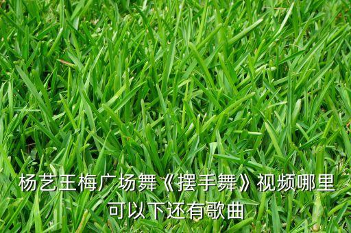  杨艺王梅广场舞《摆手舞》视频哪里可以下还有歌曲