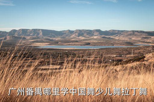  广州番禺哪里学中国舞少儿舞拉丁舞