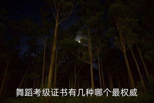 中国舞蹈家协会二