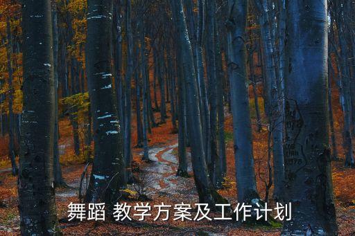  舞蹈 教学方案及工作计划