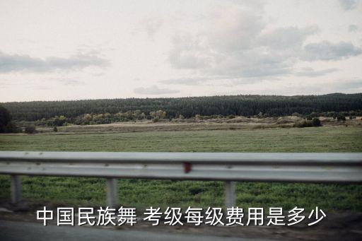 风雅舞蹈考级11级