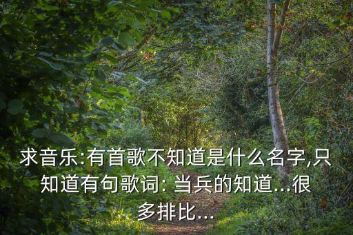 求音乐:有首歌不知道是什么名字,只知道有句歌词: 当兵的知道...很多排比...