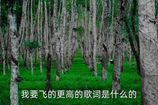 飞得更高 幼儿舞蹈视频,我要飞得更高舞蹈视频完整版