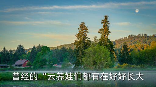 云上飞舞蹈视频,舞蹈云上飞一小杨老师