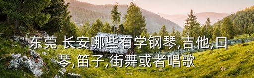  东莞 长安哪些有学钢琴,吉他,口琴,笛子,街舞或者唱歌