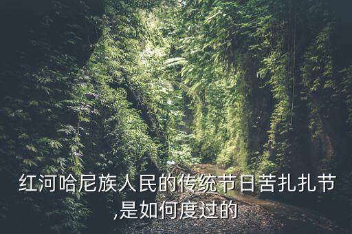 红河州民族舞蹈,欢快的民族舞蹈一等奖