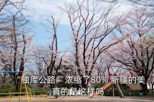 新疆 舞蹈 岳,新疆著名的舞蹈视频