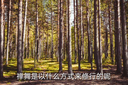 禅韵的相关舞蹈视频,国韵舞蹈一等奖视频
