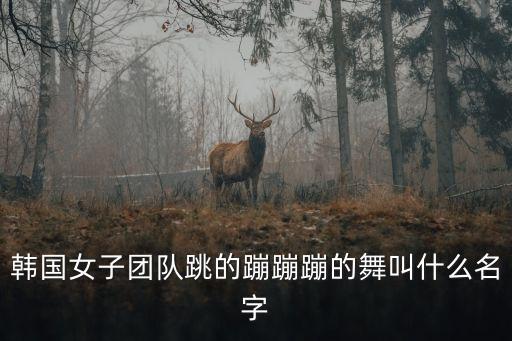 蹦蹦蹦舞蹈屋,韩国女团的歌蹦蹦蹦舞蹈