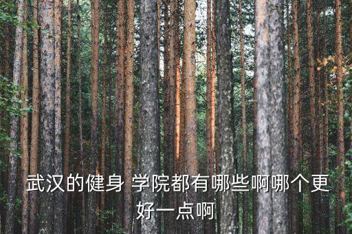  武汉的健身 学院都有哪些啊哪个更好一点啊