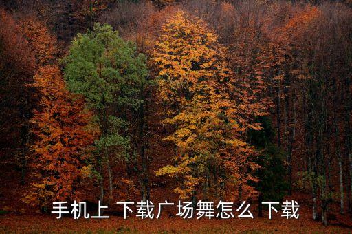 手机上 下载广场舞怎么 下载