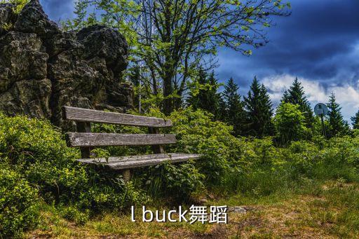 l buck舞蹈
