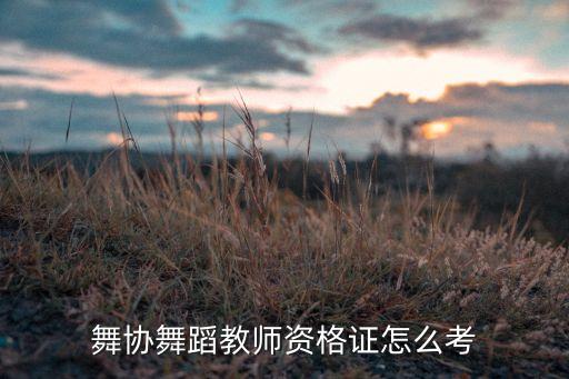 中国舞蹈家协会官方报名