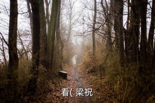长扇子舞蹈视频梁祝,梁祝大扇子舞蹈视频小影儿