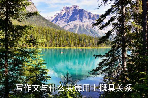 写作文与什么共舞用上概具关系