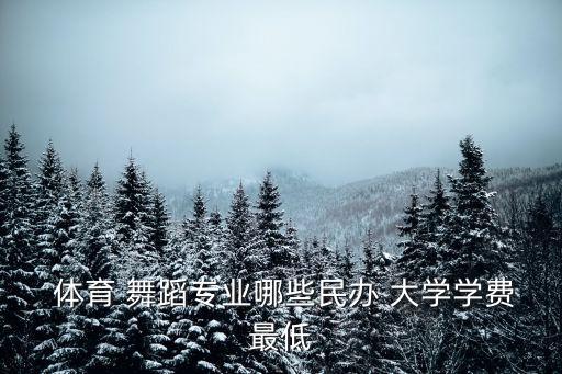  体育 舞蹈专业哪些民办 大学学费最低