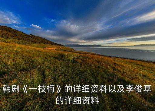 韩剧《一枝梅》的详细资料以及李俊基的详细资料