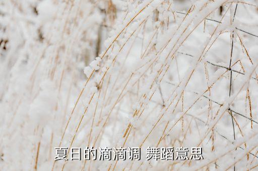 夏日的滴滴调 舞蹈意思